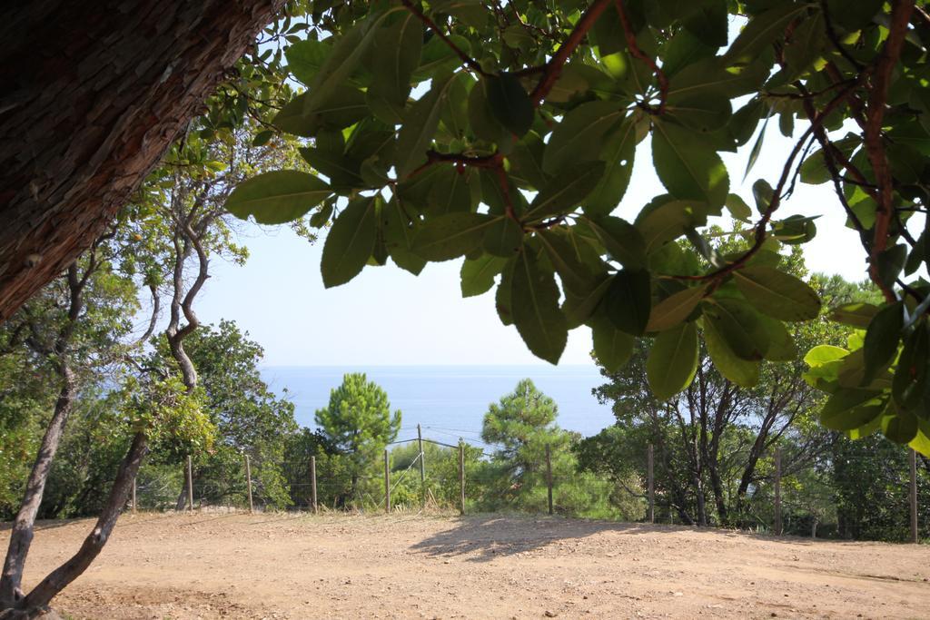 Mozziconaccio Camping 3*